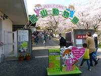 鯖江市西山動物園 の写真 (1)