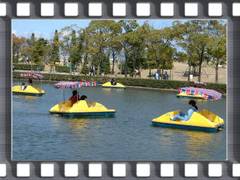 50 名古屋 子供 お出かけ ランキング かわいい子供たちの画像 50 名古屋 子供 お出かけ ランキング かわいい子供たちの画像