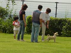 和歌山県動物愛護センター 子連れのおでかけ 子どもの遊び場探しならコモリブ