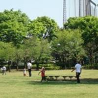 浜川運動公園 の写真