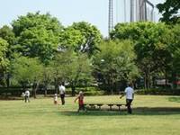浜川運動公園 の写真