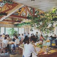 MINOH RIS CAFE (ミノオ リスカフェ) の写真 (1)