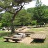 神戸青少年公園