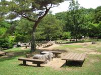 神戸青少年公園 の写真
