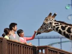 近畿地方子連れお出かけや観光にぴったりな人気動物園6選