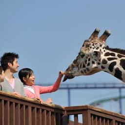 連載 写真家ママaoさんの もっと楽しめるおでかけ おすすめスポット編 Comolib Magazine