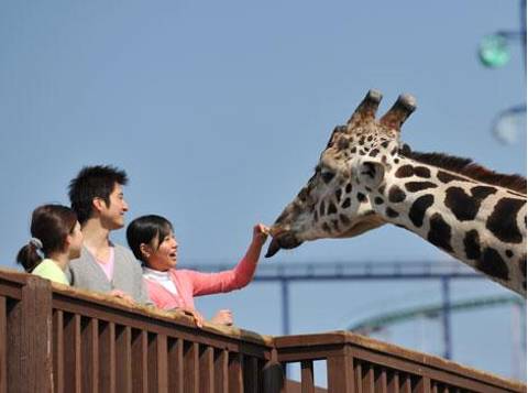 関西の人気動物園22選 ふれあい動物園や室内動物園から餌やり体験が