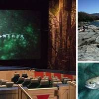 埼玉県立川の博物館(かわはく) 子連れのおでかけ・子どもの遊び場探しならコモリブ