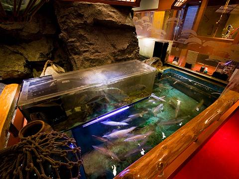大船駅周辺の子連れにおすすめの和食店10選 天ぷらの美味しいお店も 2 子連れのおでかけ 子どもの遊び場探しならコモリブ