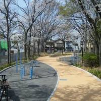 水元スポーツセンター公園（水元中央公園） の写真 (3)