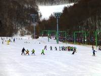札幌藻岩山スキー場 の写真 (1)