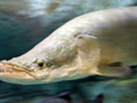 箱根の子連れ雨の日のお出かけにおすすめ 人気屋内施設10選 子連れのおでかけ 子どもの遊び場探しならコモリブ 箱根の子連れ雨の日のお出かけにおすすめ 人気屋内施設10選 子連れのおでかけ 子どもの遊び場探しならコモリブ