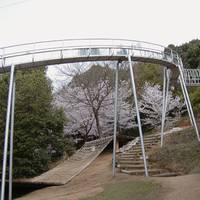 丸山公園 の写真 (3)