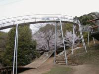 丸山公園 の写真 (3)