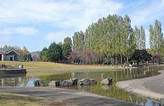 彩の森入間公園　（さいのもりいるまこうえん）