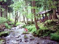 石川県県民の森 の写真 (1)