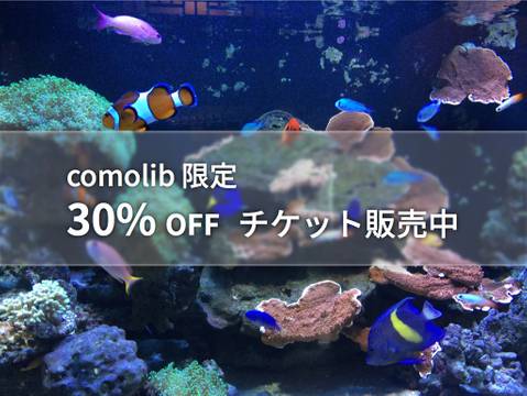 ヨコハマおもしろ水族館 赤ちゃん水族館 子連れのおでかけ 子どもの遊び場探しならコモリブ