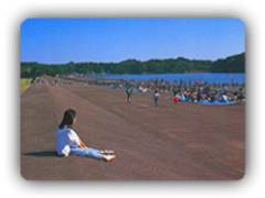 手樽海浜公園 てたるかいひんこうえん 子連れのおでかけ 子どもの遊び場探しならコモリブ