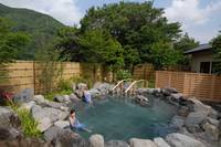 鬼怒川公園岩風呂 の写真 (1)