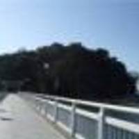蒲郡竹島海岸 の写真