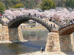 錦帯橋 子連れのおでかけ 子どもの遊び場探しならコモリブ 錦帯橋 子連れのおでかけ 子どもの遊び場探しならコモリブ