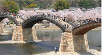 錦帯橋 の写真 (1)