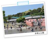 赤塚山公園 の写真 (2)