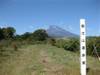 富士山遊歩道