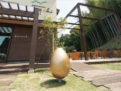 緑の谷のごちそうテラス Cocochi (ここち)