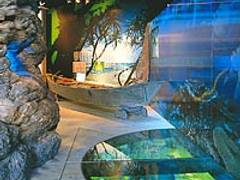 奄美大島の子連れ観光スポットおすすめ10選 アウトドアを楽しめちゃう 2 子連れのおでかけ 子どもの遊び場探しならコモリブ 奄美大島の子連れ観光スポットおすすめ10選 アウトドアを楽しめちゃう 2 子連れのおでかけ 子どもの遊び場探しならコモリブ