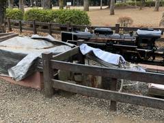 東京の遊具がたくさんある公園40選 都内にあるアスレチックや大型遊具で楽しめる公園も 5 子連れのおでかけ 子どもの遊び場探しならコモリブ