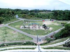 南部 丘陵 公園 丘陵 公園 南部