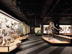 高松の子連れお出かけスポット15選 子供向けイベント開催や水遊びができる公園も 4 子連れのおでかけ 子どもの遊び場探しならコモリブ 高松の子連れお出かけスポット15選 子供向けイベント開催や水遊びができる公園も 4 子連れのおでかけ 子どもの遊び場探しならコモリブ