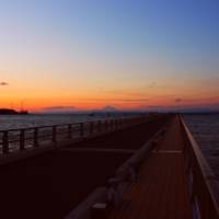 館山夕日桟橋 の写真 (2)