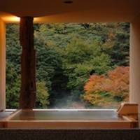 箱根湯本温泉 箱根水明荘 の写真 (3)