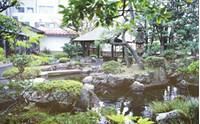 鳥取温泉 しいたけ会館 対翠閣 の写真 (1)