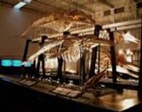 足寄動物化石博物館　あしょろどうぶつかせきはくぶつかん の写真 (2)