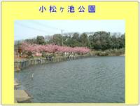 小松ヶ池公園 の写真 (1)