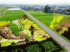 田舎館村田んぼアート 子連れのおでかけ 子どもの遊び場探しならコモリブ 田舎館村田んぼアート 子連れのおでかけ 子どもの遊び場探しならコモリブ