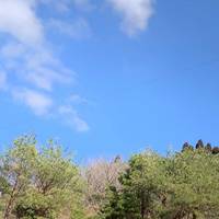 フォレストアドベンチャー・神戸六甲山 の写真 (3)