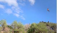 フォレストアドベンチャー・神戸六甲山 の写真 (3)