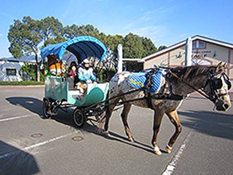 北九州の子連れで楽しめる遊び場選 子供向けイベントやお出かけにぴったりな室内施設も 2 子連れのおでかけ 子どもの遊び場探しならコモリブ 北九州の子連れで楽しめる遊び場選 子供向けイベントやお出かけにぴったりな室内施設も 2 子連れのおでかけ 子どもの遊び場探しならコモリブ