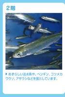 新札幌 サンピアザ水族館 の写真 (3)