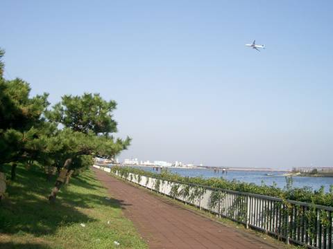 関東で飛行機が見える公園15選 羽田空港やお台場近くの公園も 子連れのおでかけ 子どもの遊び場探しならコモリブ 関東で飛行機が見える公園15選 羽田空港やお台場近くの公園も 子連れのおでかけ 子どもの遊び場探しならコモリブ