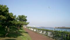 関東で飛行機が見える公園15選！羽田空港やお台場近くの公園も