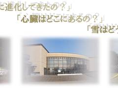 雨の日でも大丈夫 新潟の屋内遊び場おすすめ10選 子連れのおでかけ 子どもの遊び場探しならコモリブ 雨の日でも大丈夫 新潟の屋内遊び場おすすめ10選 子連れのおでかけ 子どもの遊び場探しならコモリブ