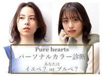 ピュアハーツ(Pure Hearts)