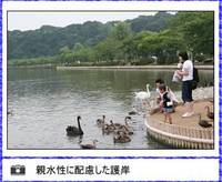 千波湖（せんばこ） の写真 (1)