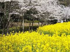 神戸総合運動公園