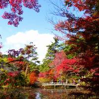 神戸市立森林植物園 の写真 (2)